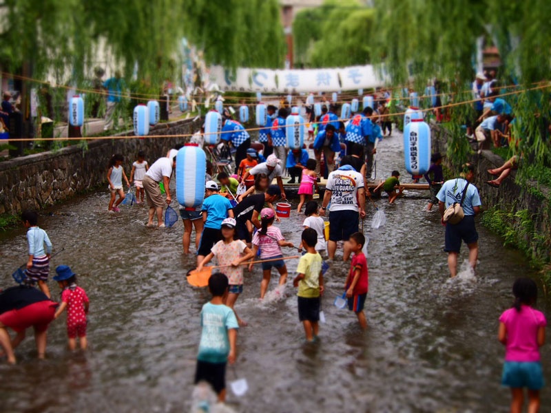 2014年白川子供夏祭り